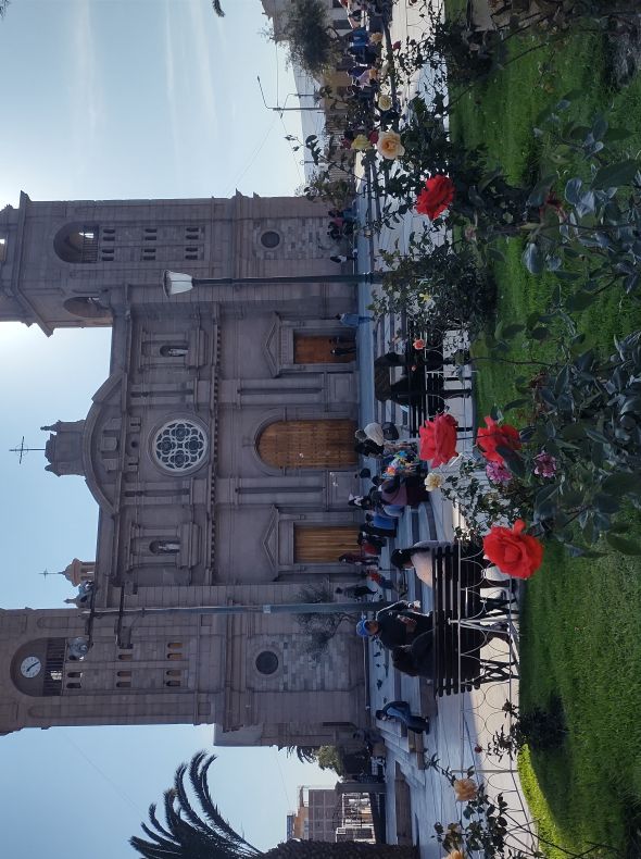 Desarrollo de aplicaciones web y android en Tacna 